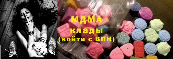 прущие грибы Ельня