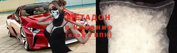 прущие грибы Ельня