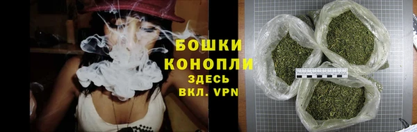 прущие грибы Ельня