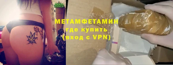 прущие грибы Ельня