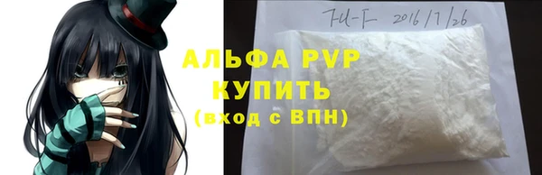 хмурый Шали