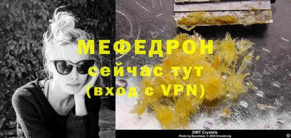 прущие грибы Ельня
