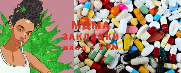 прущие грибы Ельня