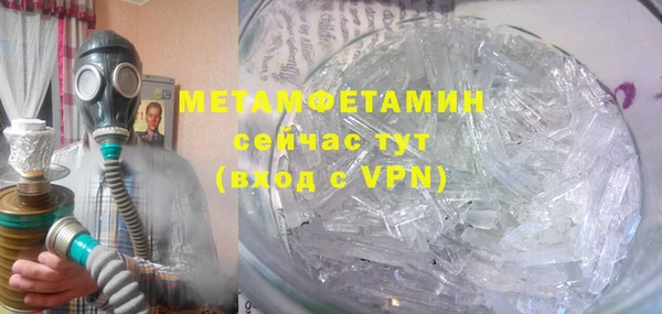 прущие грибы Ельня