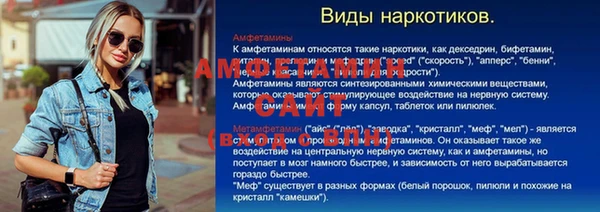 прущие грибы Ельня