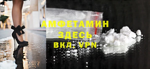 прущие грибы Ельня