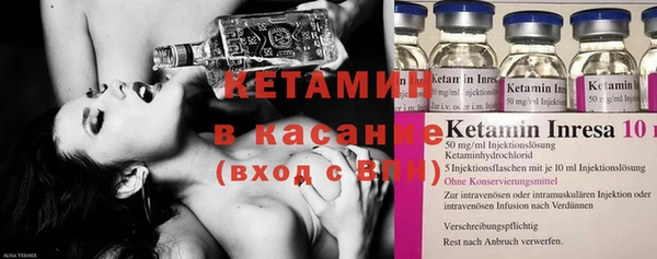 прущие грибы Ельня
