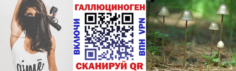 Псилоцибиновые грибы Magic Shrooms  Шали 