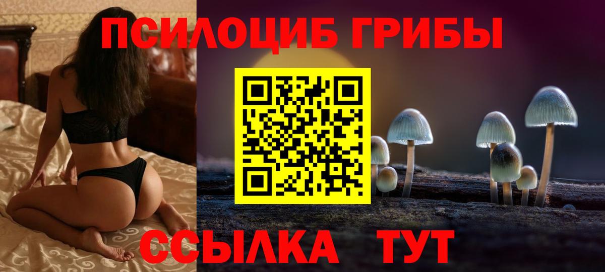 Галлюциногенные грибы мухоморы Шали